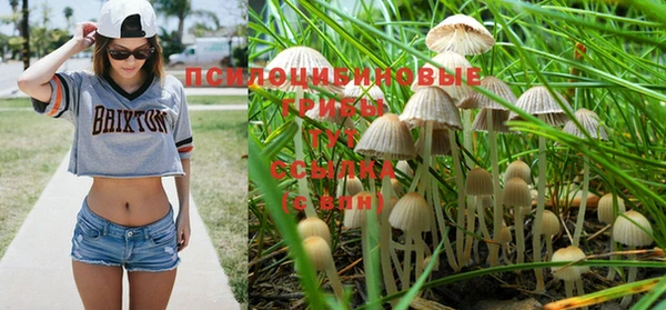 mdpv Вяземский