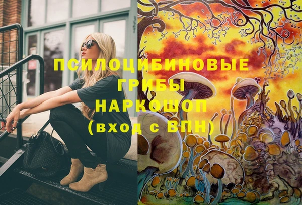 молекула духа Вязники