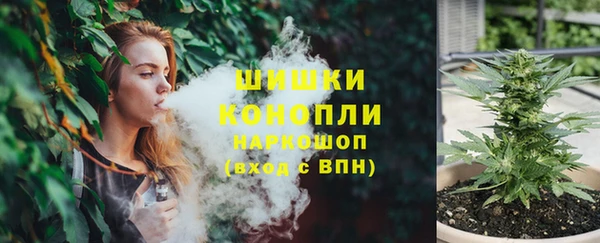 мяу мяу мука Вязьма