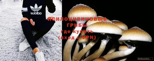 молекула духа Вязники