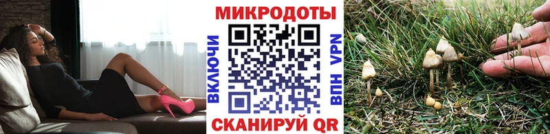 Галлюциногенные грибы Psilocybe  Купить закладки  Островной 